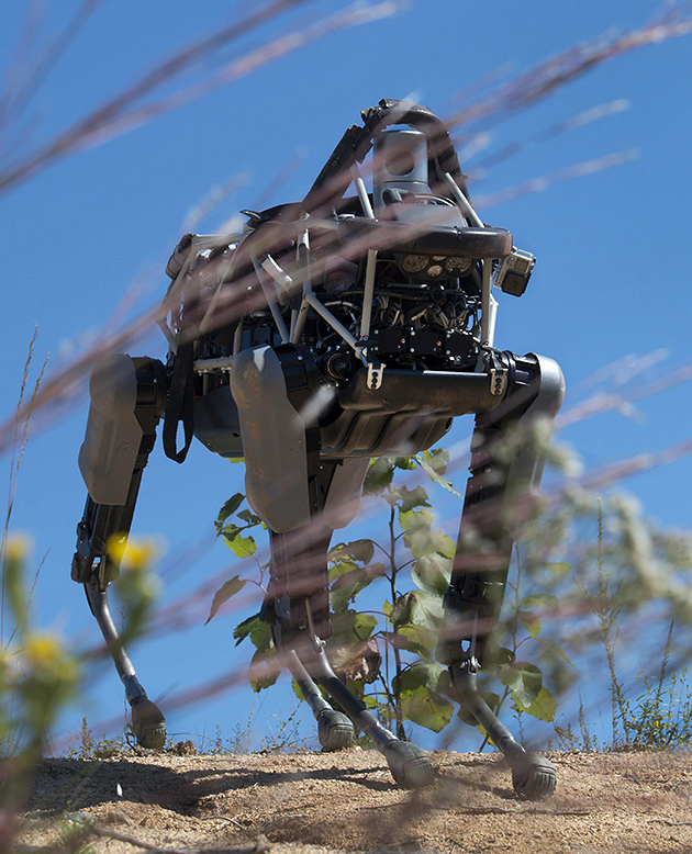 A military robot that resembles a dog.