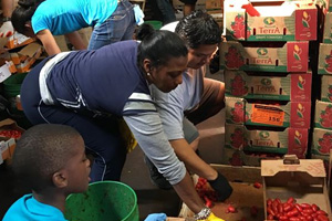 Valerie Thompson, DoD Feds Feed Families champion, and volunteer Orlando Lau collect tomatoes to help fight hunger at the nonprofit Mid-Atlantic Gleaning Network.